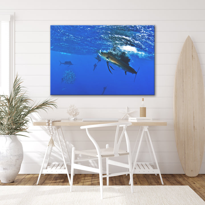 'Sailfish' Wrapped Canvas Wall Art