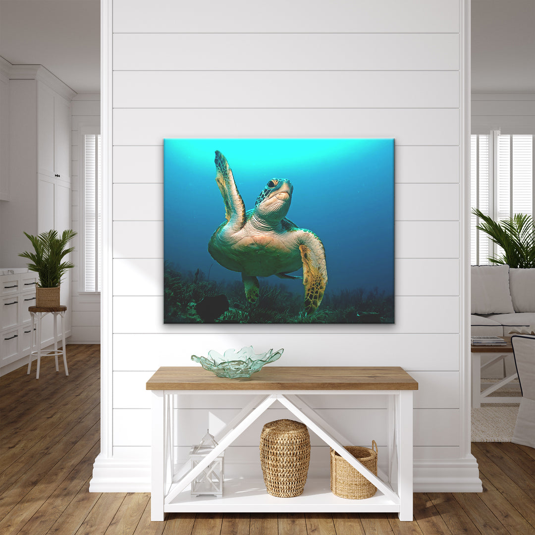'Turtle High Five' Wrapped Canvas Wall Art