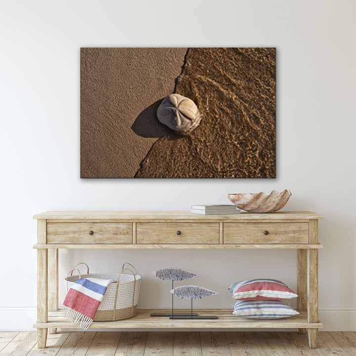 'Seabiscuit' 5-Piece Wrapped Canvas Wall Art Set