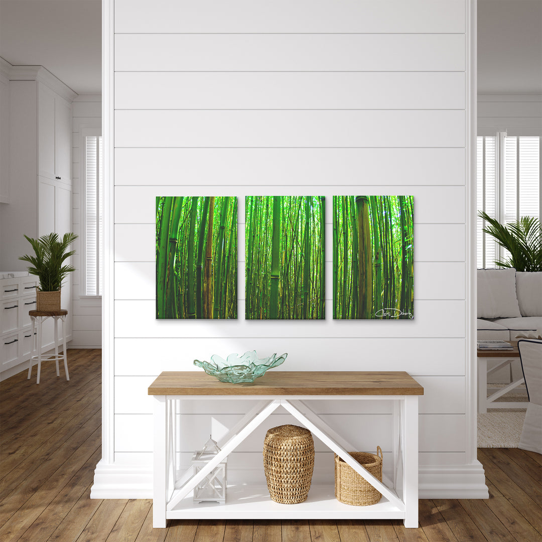 'Maui Palms' 3 Piece Wrapped Canvas Wall Art Set