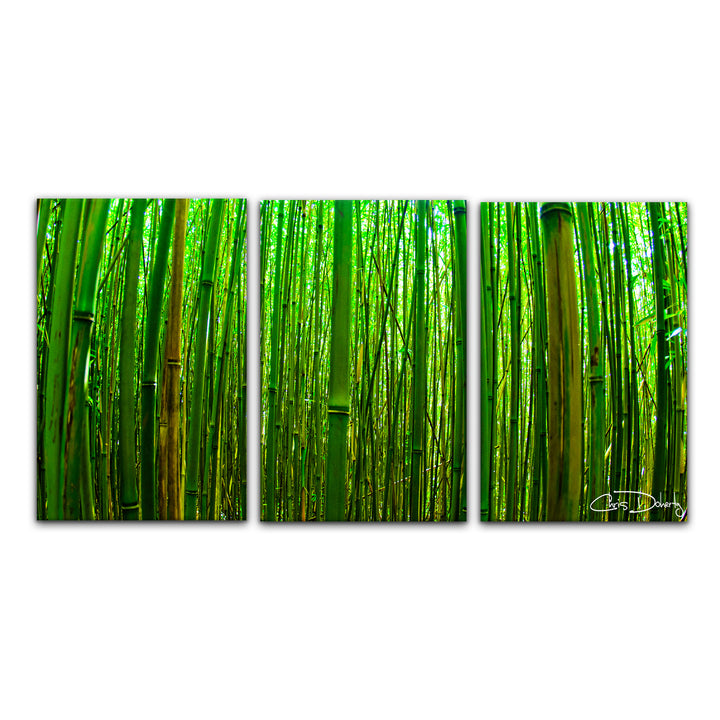 'Maui Palms' 3 Piece Wrapped Canvas Wall Art Set