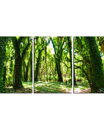 Mystic Forest' 3-Piece Wrapped Canvas Wall Art Set
