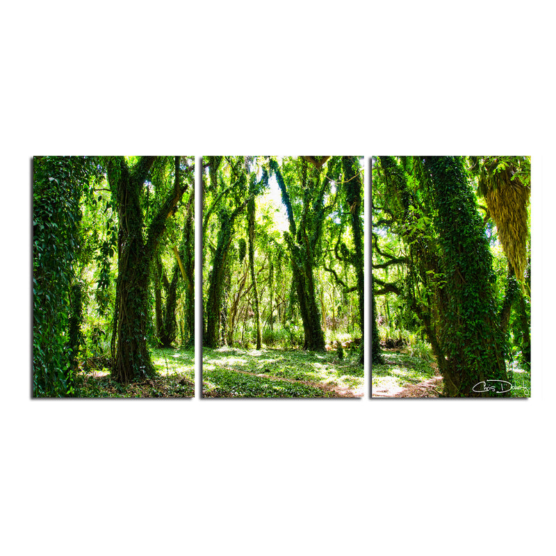 'Mystic Forest' 3-Piece Wrapped Canvas Wall Art Set