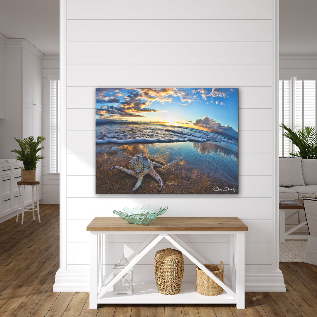 'Maui Shell' Wrapped Canvas Wall Art