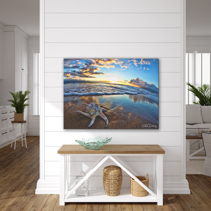 'Maui Shell' Wrapped Canvas Wall Art