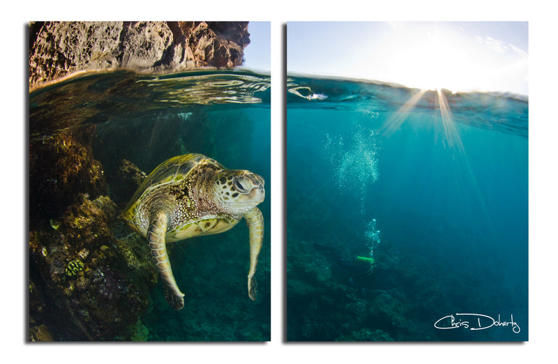 'Maui Turtle & Divers' 2-Piece Wrapped Canvas Wall Art Set