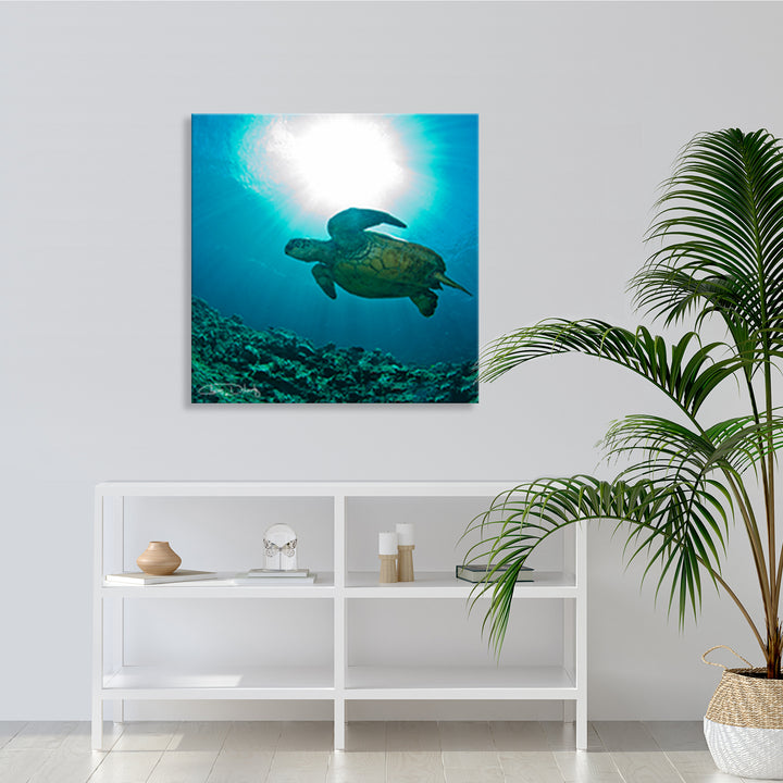 'Maui Turtle Blue' Wrapped Canvas Wall Art