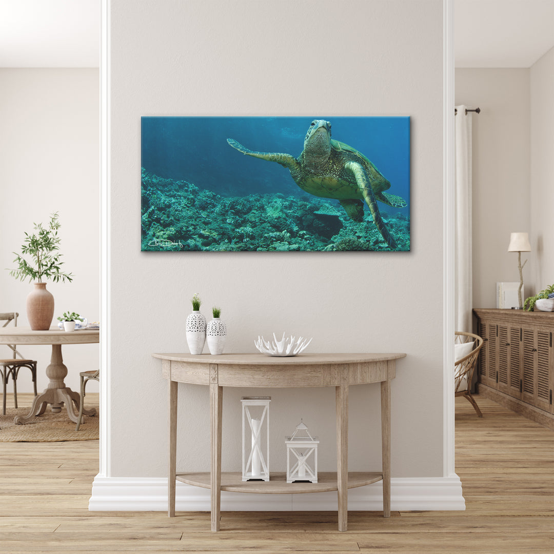 'Maui Turtle Stony' Wrapped Canvas Wall Art