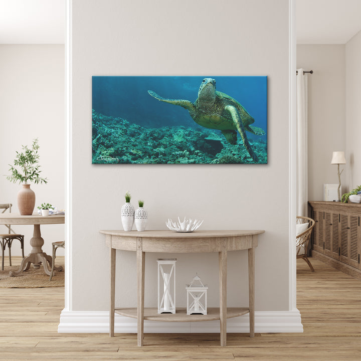'Maui Turtle Stony' Wrapped Canvas Wall Art