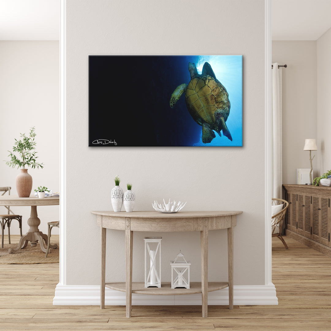 'Maui Turtle Blue' Wrapped Canvas Wall Art