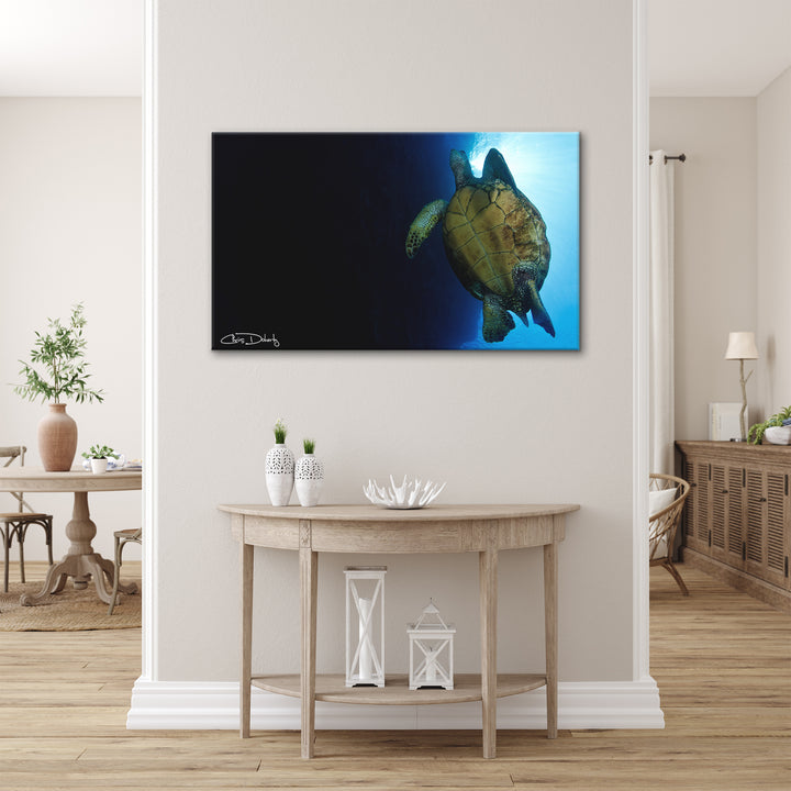 'Maui Turtle Blue' Wrapped Canvas Wall Art