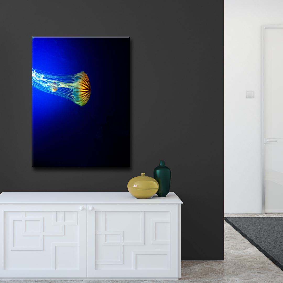 'Iridescent Jelly' Wrapped Canvas Wall Art
