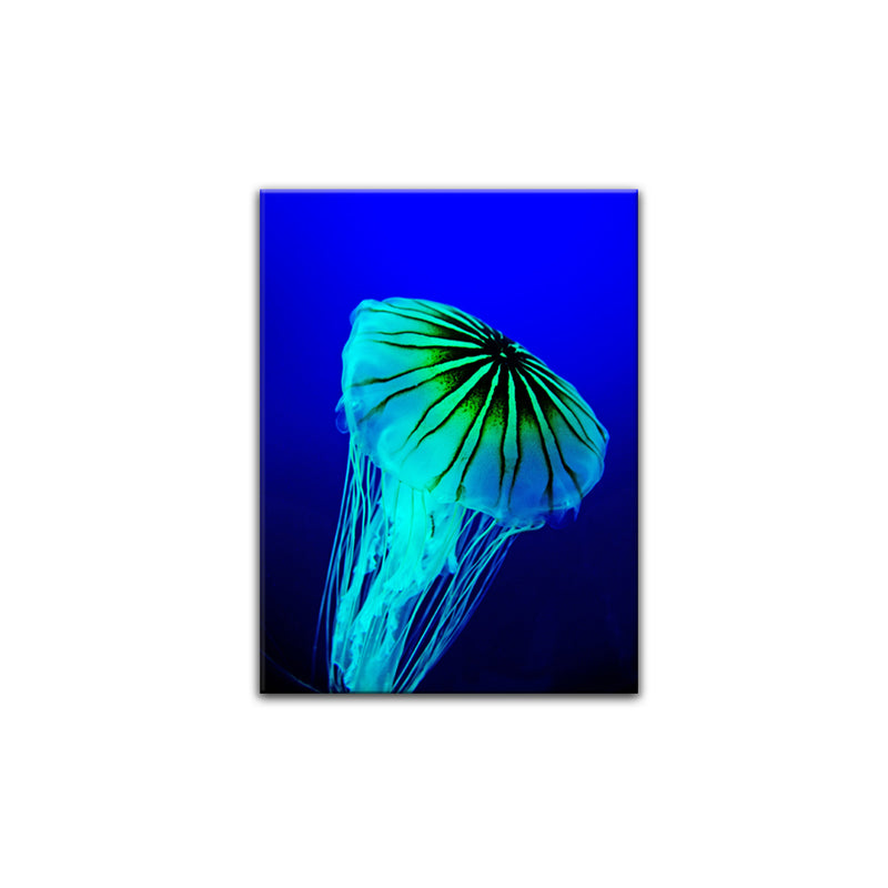 'Iridescent Jelly II' Wrapped Canvas Wall Art