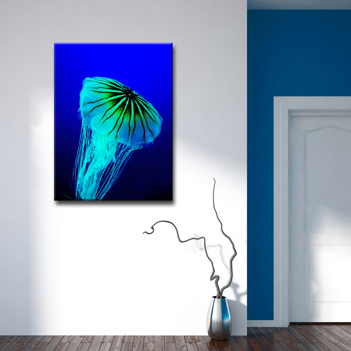 'Iridescent Jelly II' Wrapped Canvas Wall Art