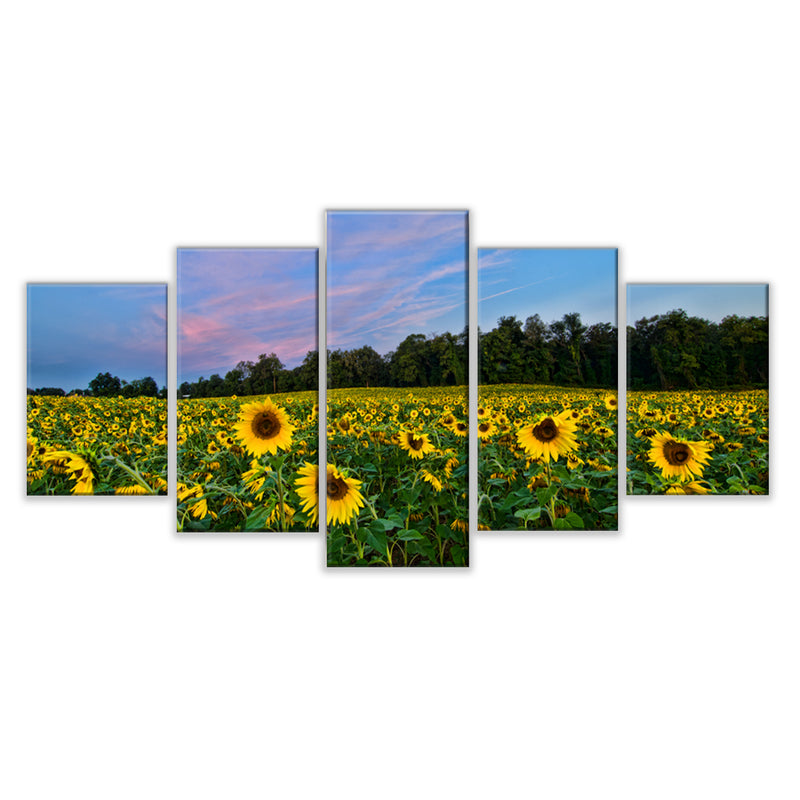 'Sunflower Haven' Wrapped Canvas Wall Art Set