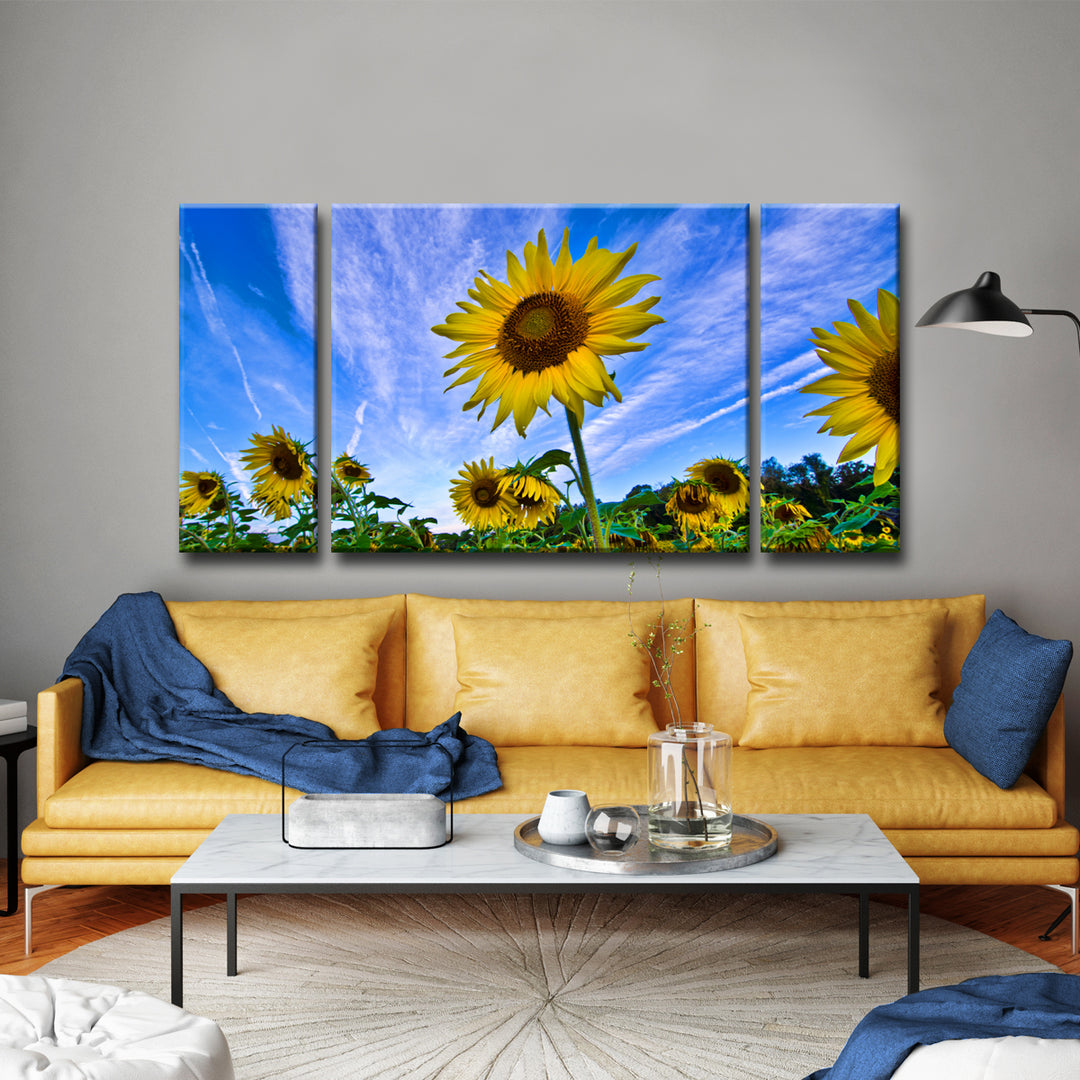 'Queen of the Field' 3-Piece Wrapped Canvas Wall Art Set