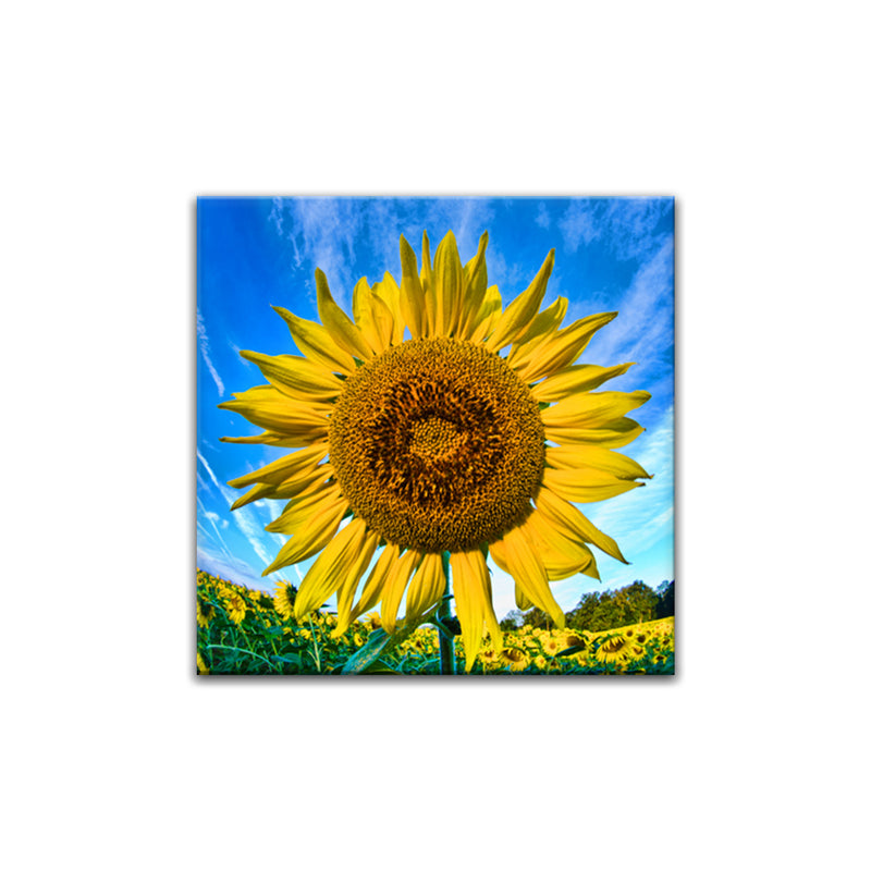 'Bright & Tall' Wrapped Canvas Wall Art