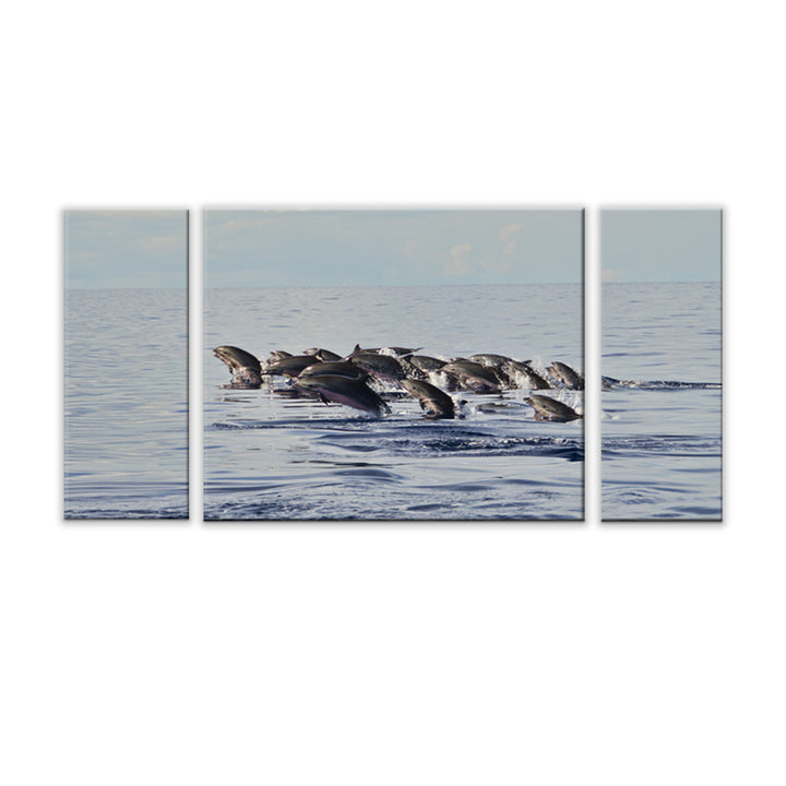 'Free at Sea' 3-Piece Wrapped Canvas Wall Art Set
