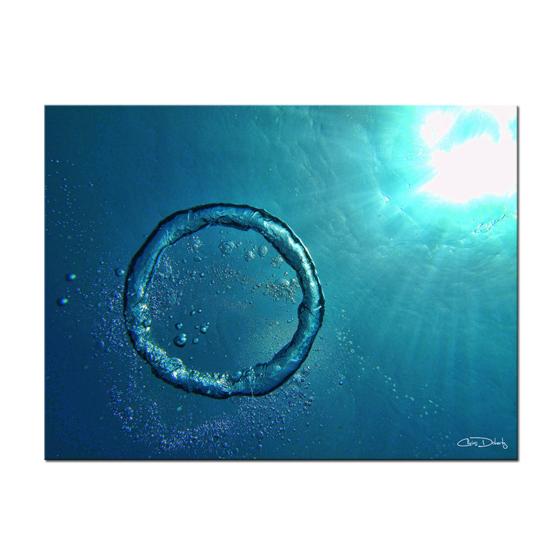 'Bubble Ring' Wrapped Canvas Wall Art - Ready2HangArt
