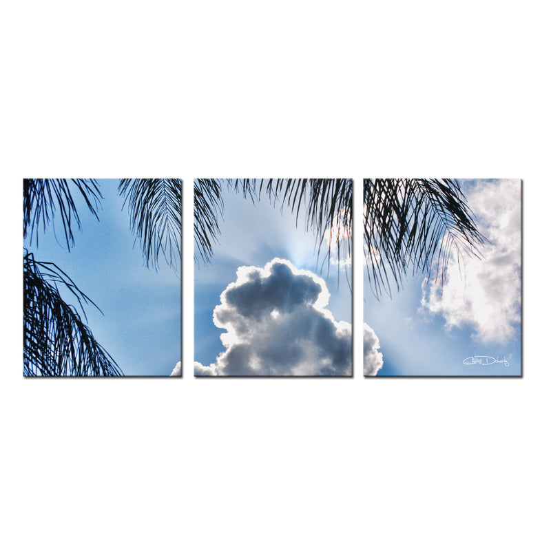 'Cloudy Palms' 3-Piece Canvas Wall Art Set - Ready2HangArt