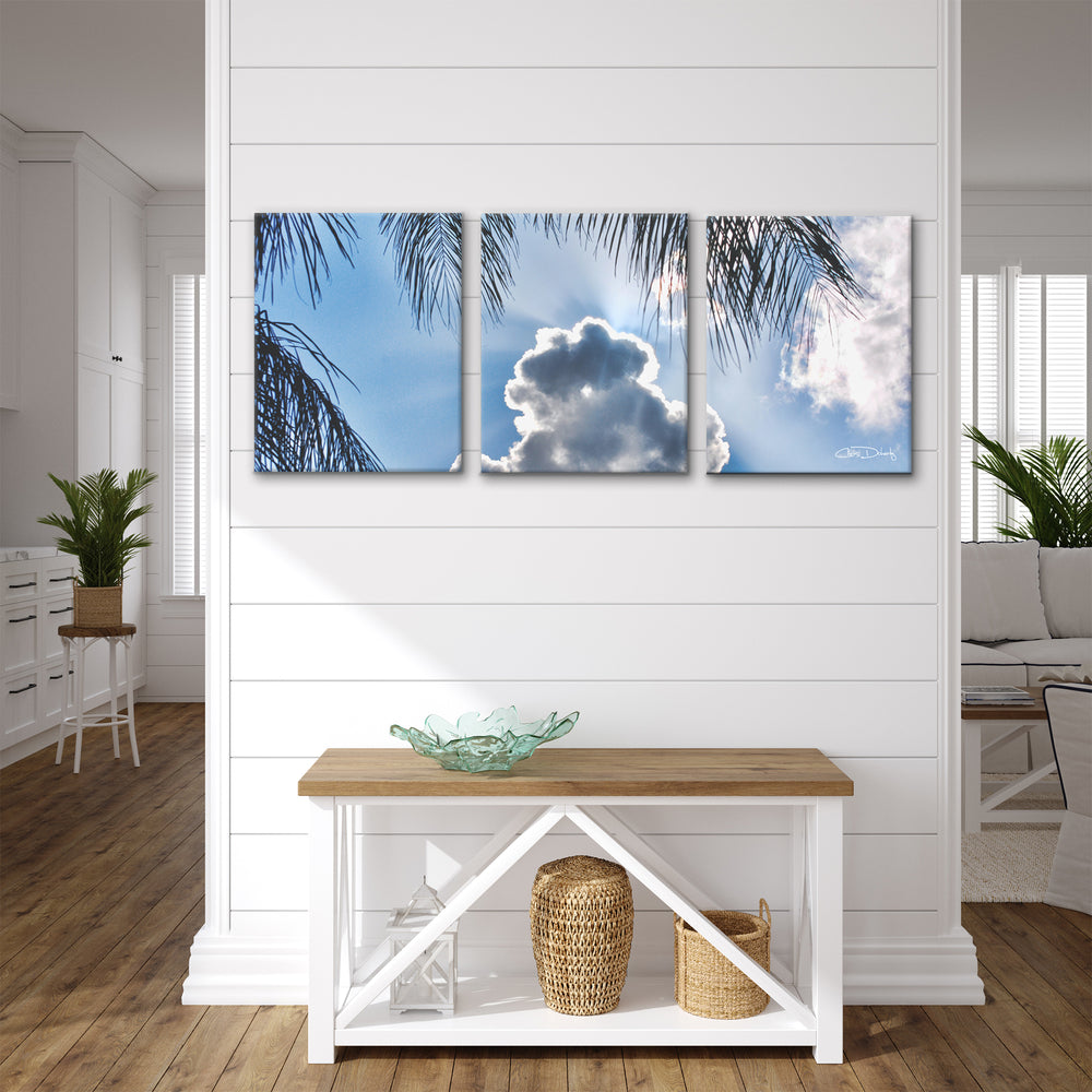 'Cloudy Palms' 3-Piece Canvas Wall Art Set - Ready2HangArt