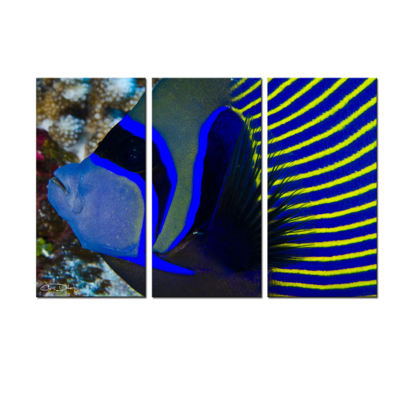 'Underwater Bleus' 4-Piece Wrapped Canvas Wall Art Set - Ready2HangArt