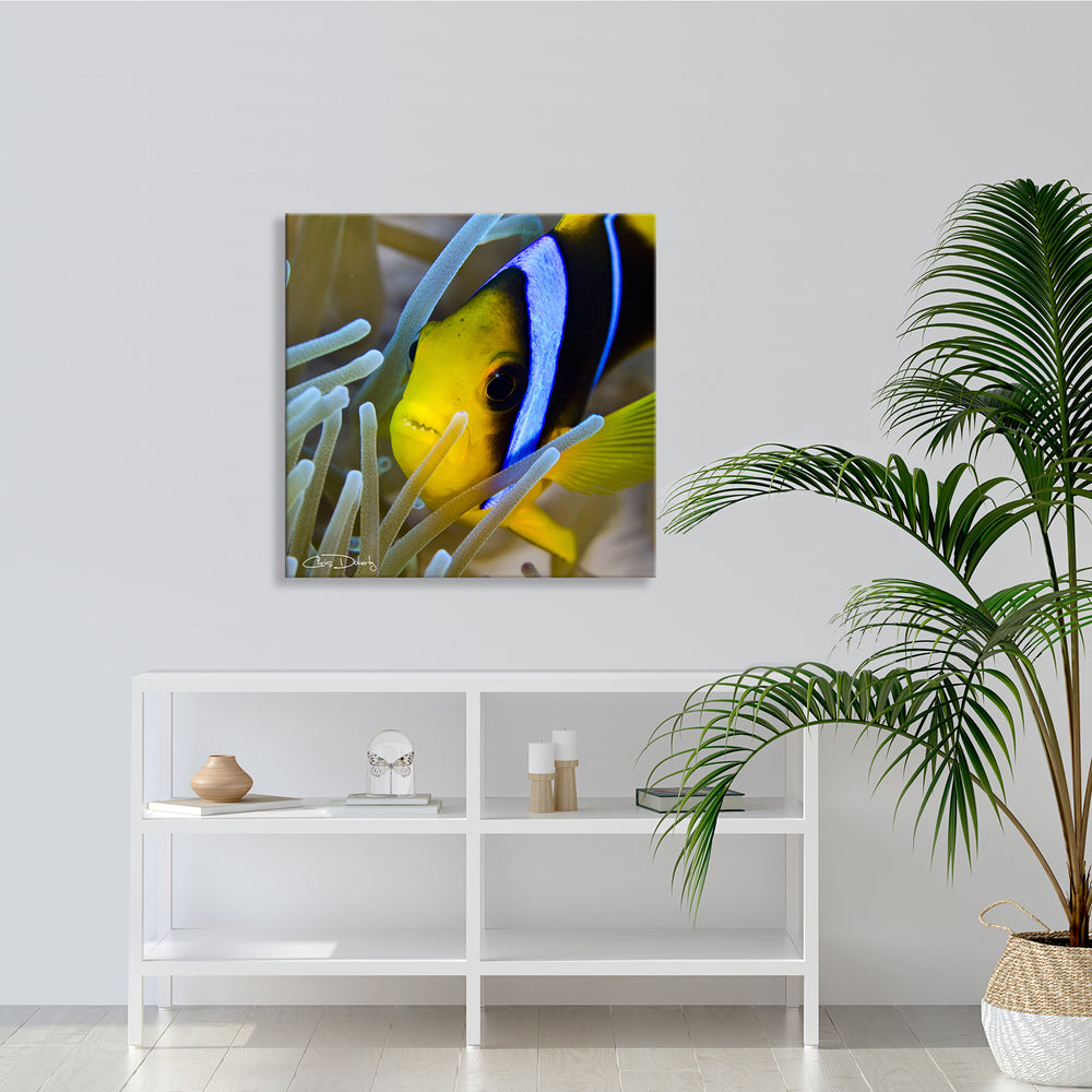 'Underwater Rays' Wrapped Canvas Wall Art - Ready2HangArt