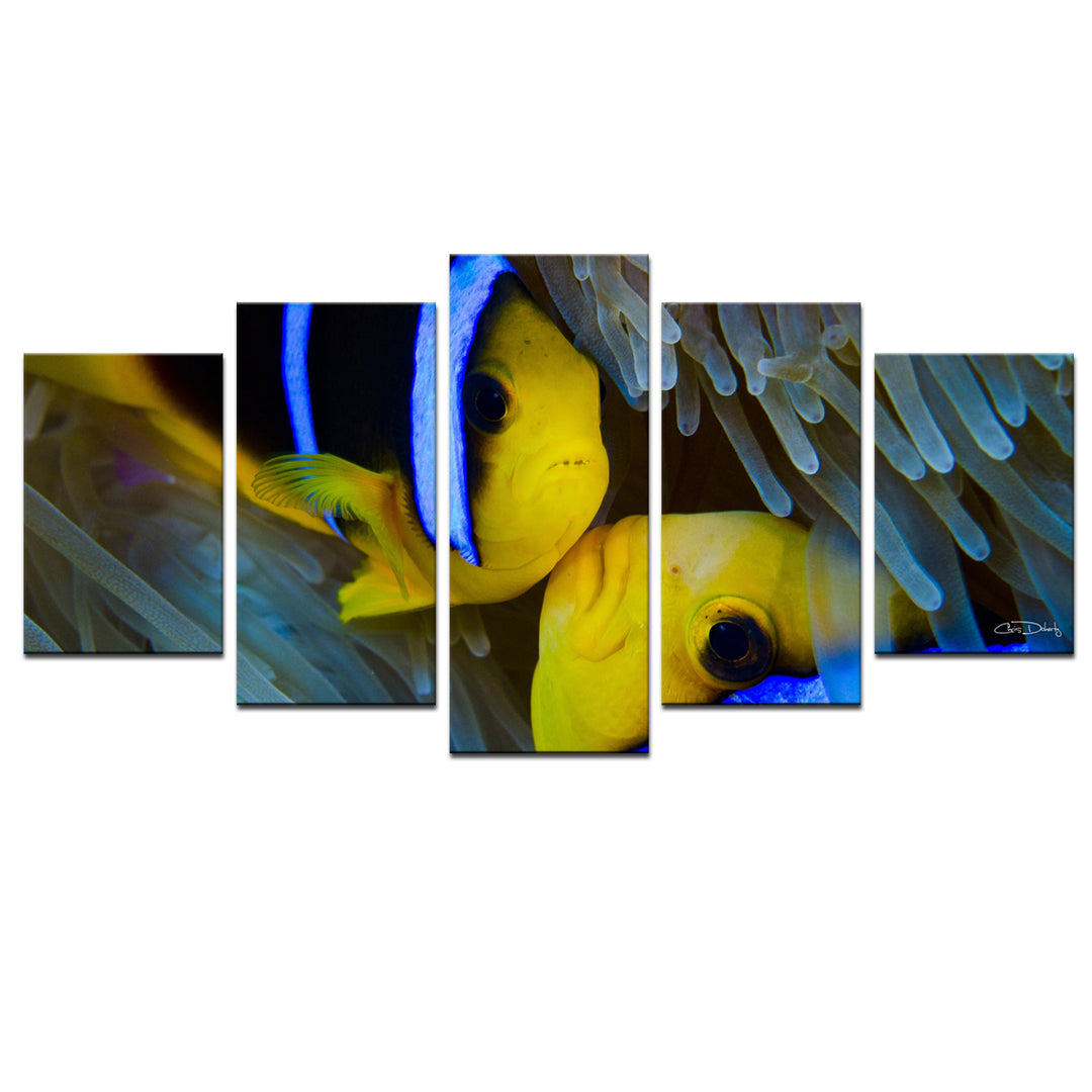 Underwater Rays Duo' 5-Piece Wrapped Canvas Wall Art Set - Ready2HangArt