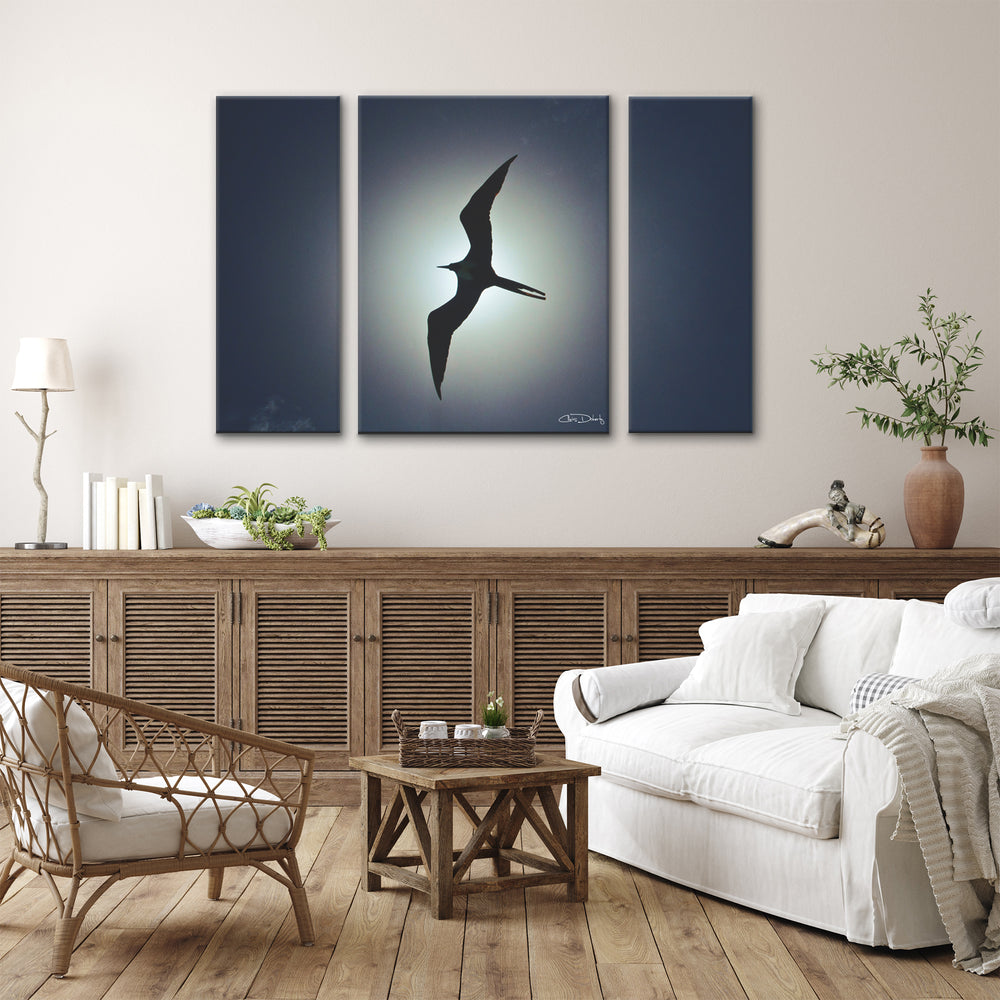 'Frigatebird' 3-Piece Wrapped Canvas Wall Art Set - Ready2HangArt