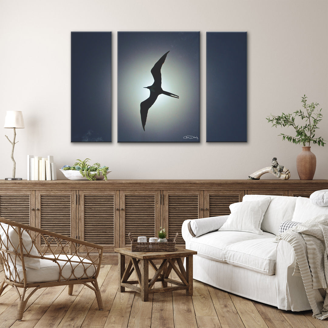 'Frigatebird' 3-Piece Wrapped Canvas Wall Art Set - Ready2HangArt