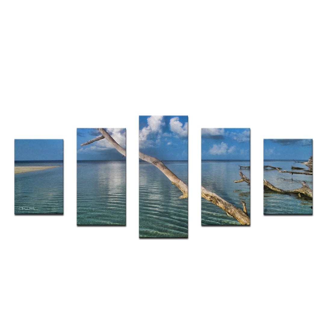 Grand Bahama' 5-Piece Wrapped Canvas Wall Art Set - Ready2HangArt