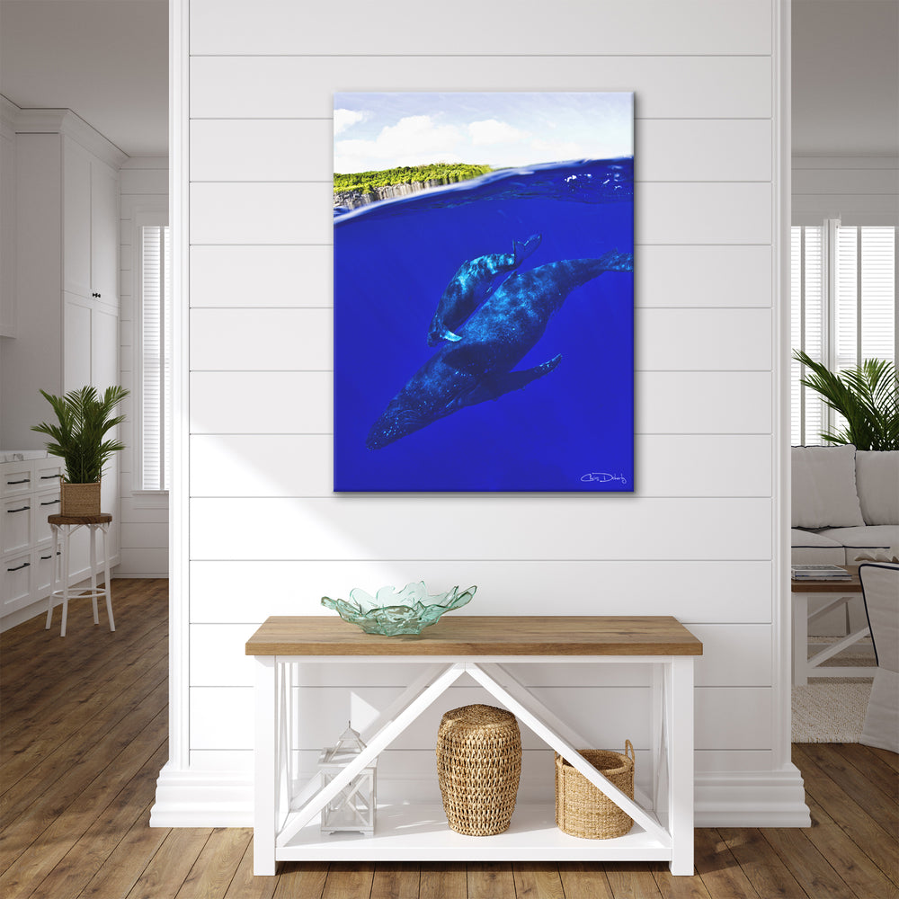'Whales' Wrapped Canvas Wall Art - Ready2HangArt
