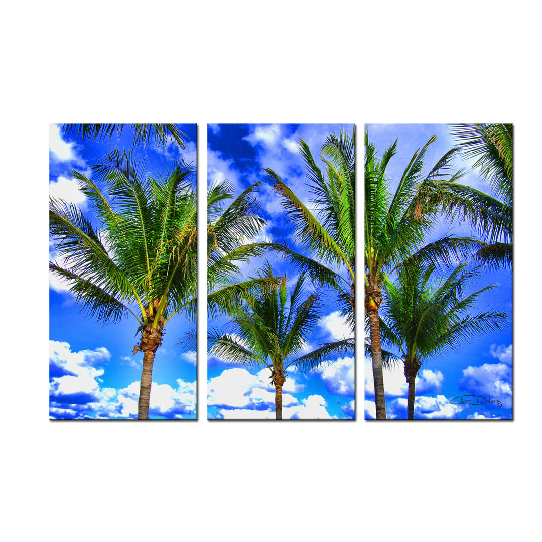 'Shady Palms' 3 Piece Wrapped Canvas Wall Art Set - Ready2HangArt