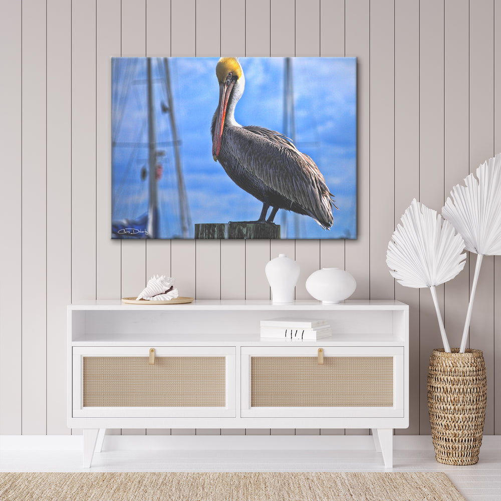 'Pelican' Wrapped Canvas Wall Art - Ready2HangArt