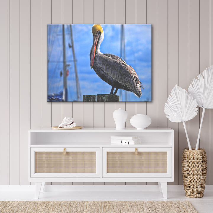 'Pelican' Wrapped Canvas Wall Art - Ready2HangArt