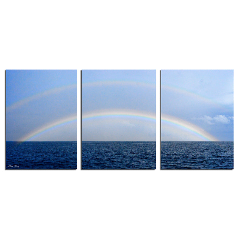 'Double Rainbow' 3-Piece Wrapped Canvas Wall Art Set