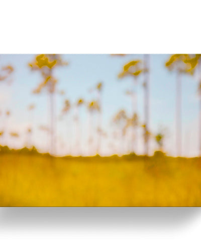One of a Kind Original 'Everglades Trees' by Cheryl Maeder