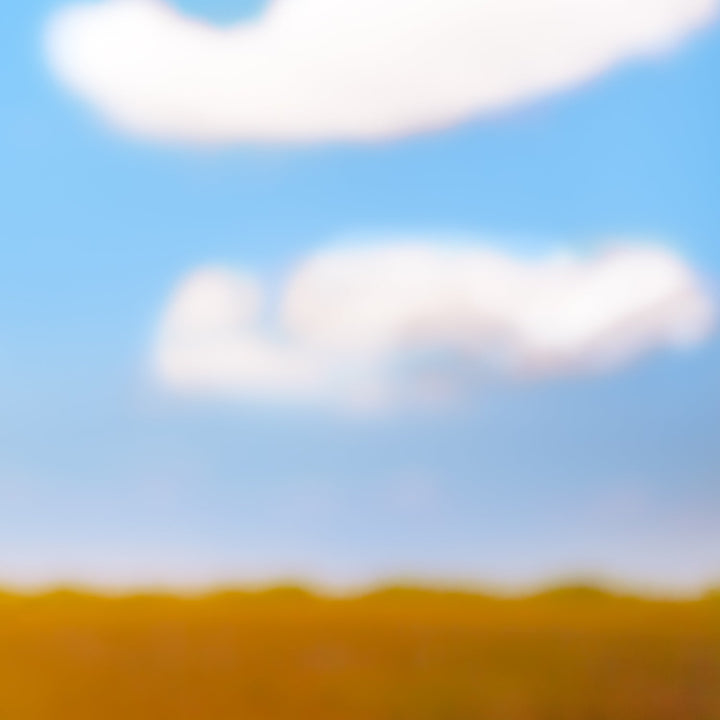 One of a Kind Original 'Everglades Sky' by Cheryl Maeder