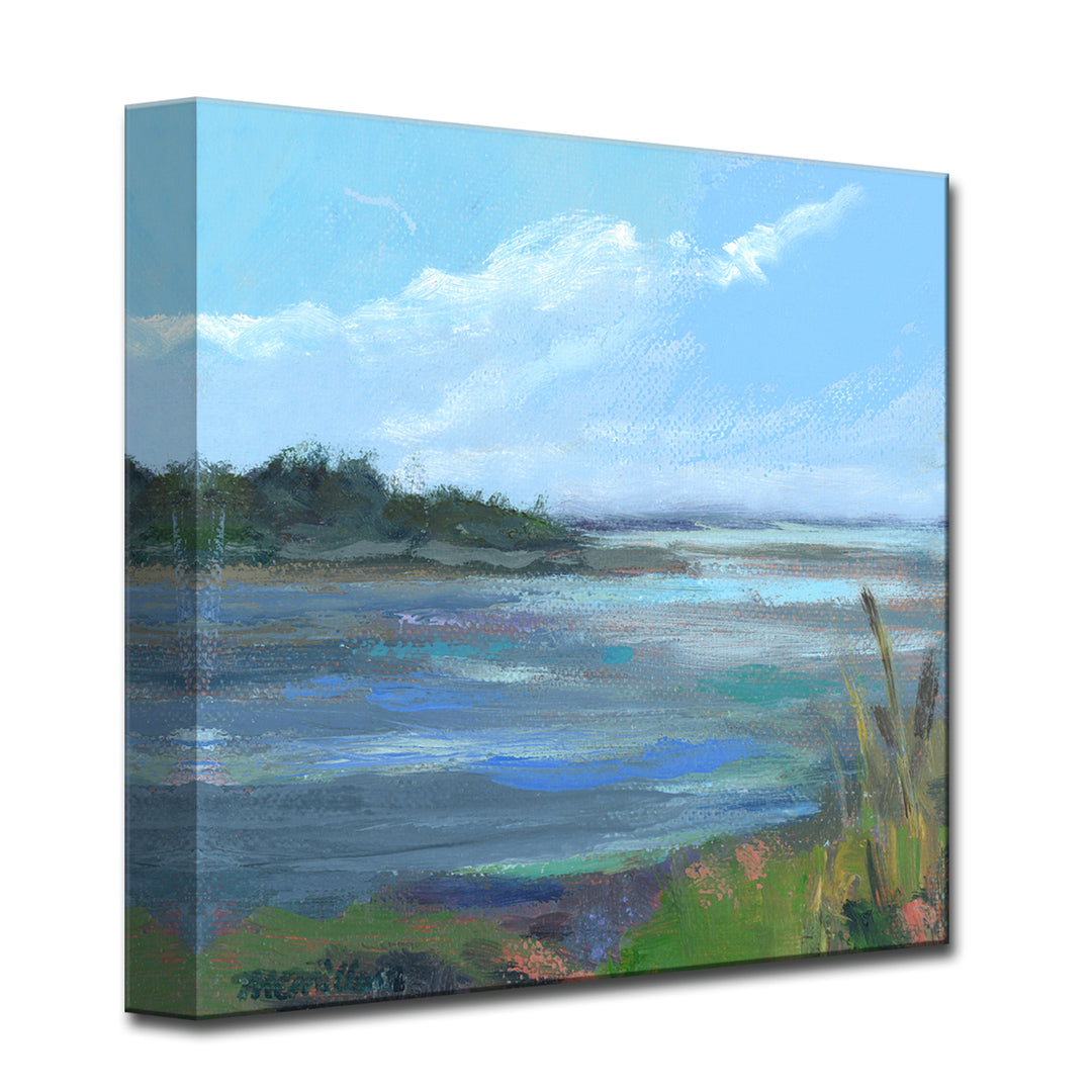 'Coral & Blues' Wrapped Canvas Wall Art