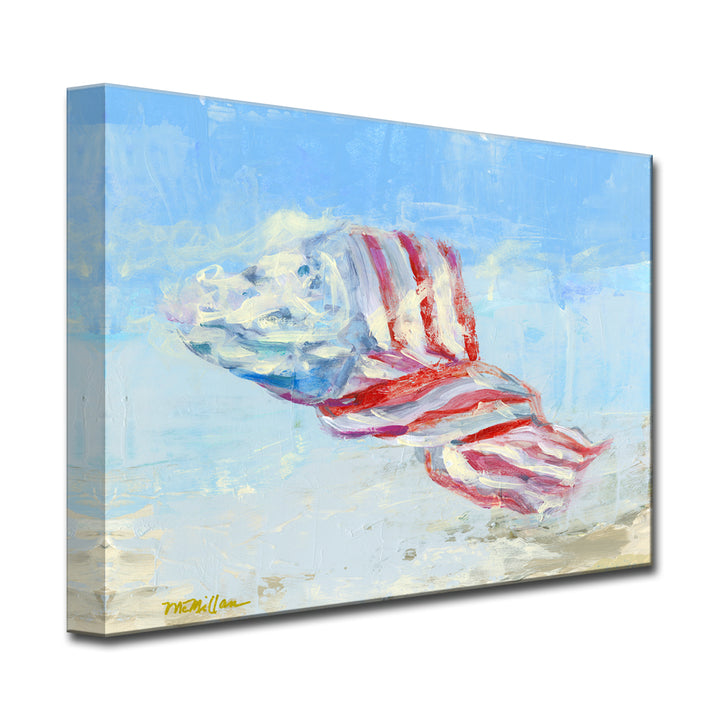 'Wind Blown Flag' Wrapped Canvas Wall Art