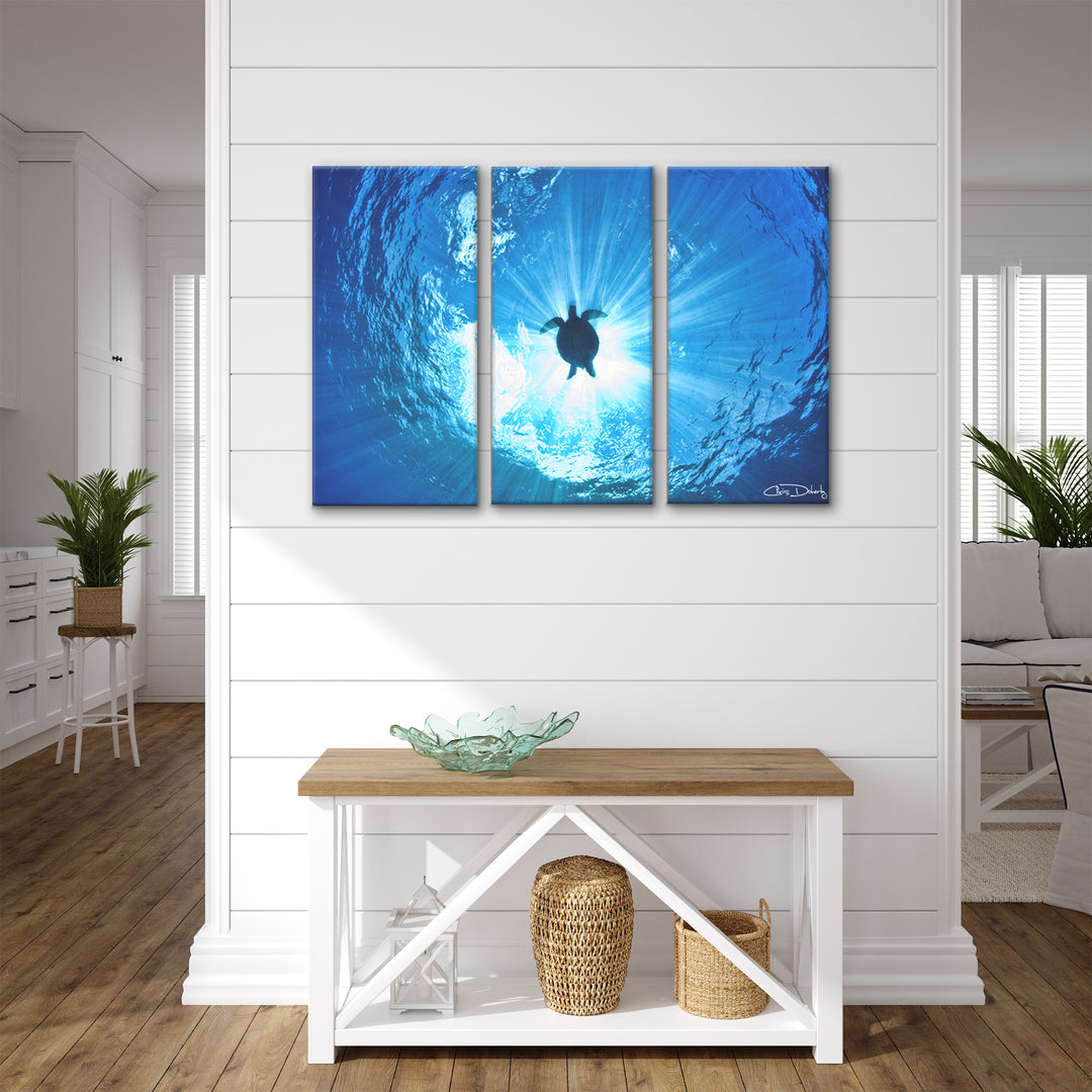 'Sea Turtle' 3-Piece Wrapped Canvas Wall Art Set - Ready2HangArt