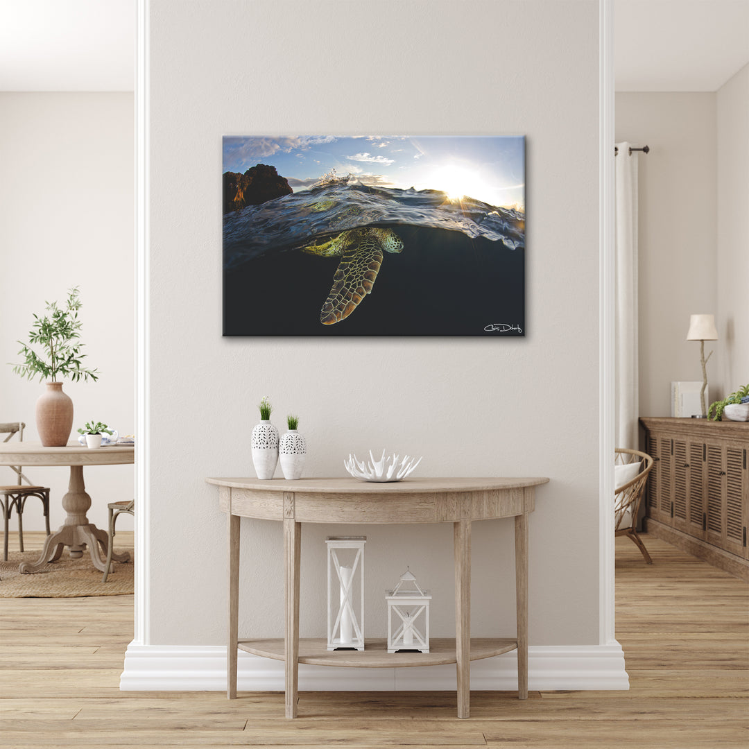 'Sea Turtle' Wrapped Canvas Wall Art