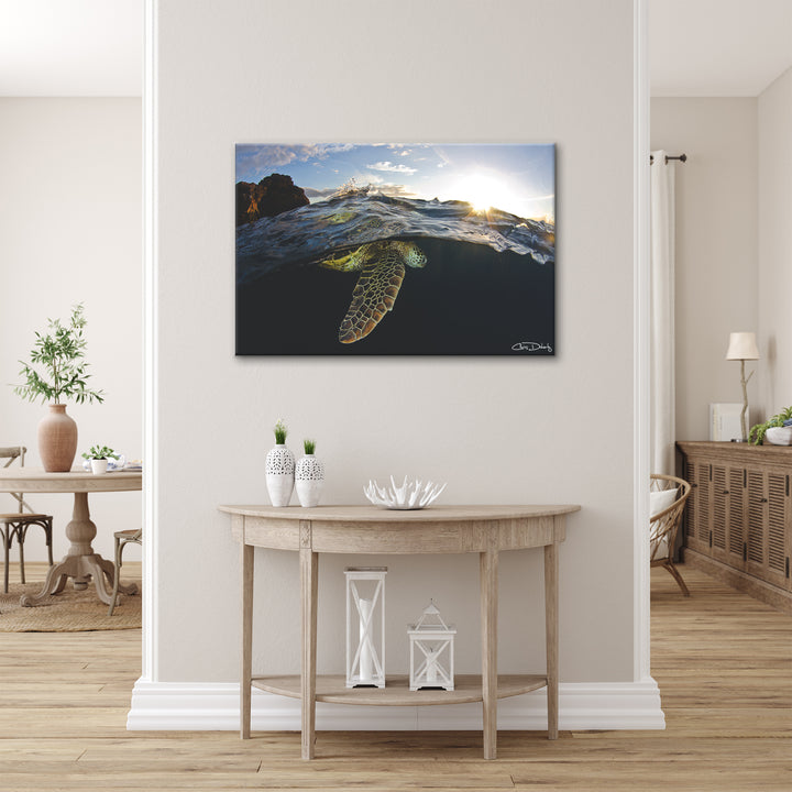 'Sea Turtle' Wrapped Canvas Wall Art