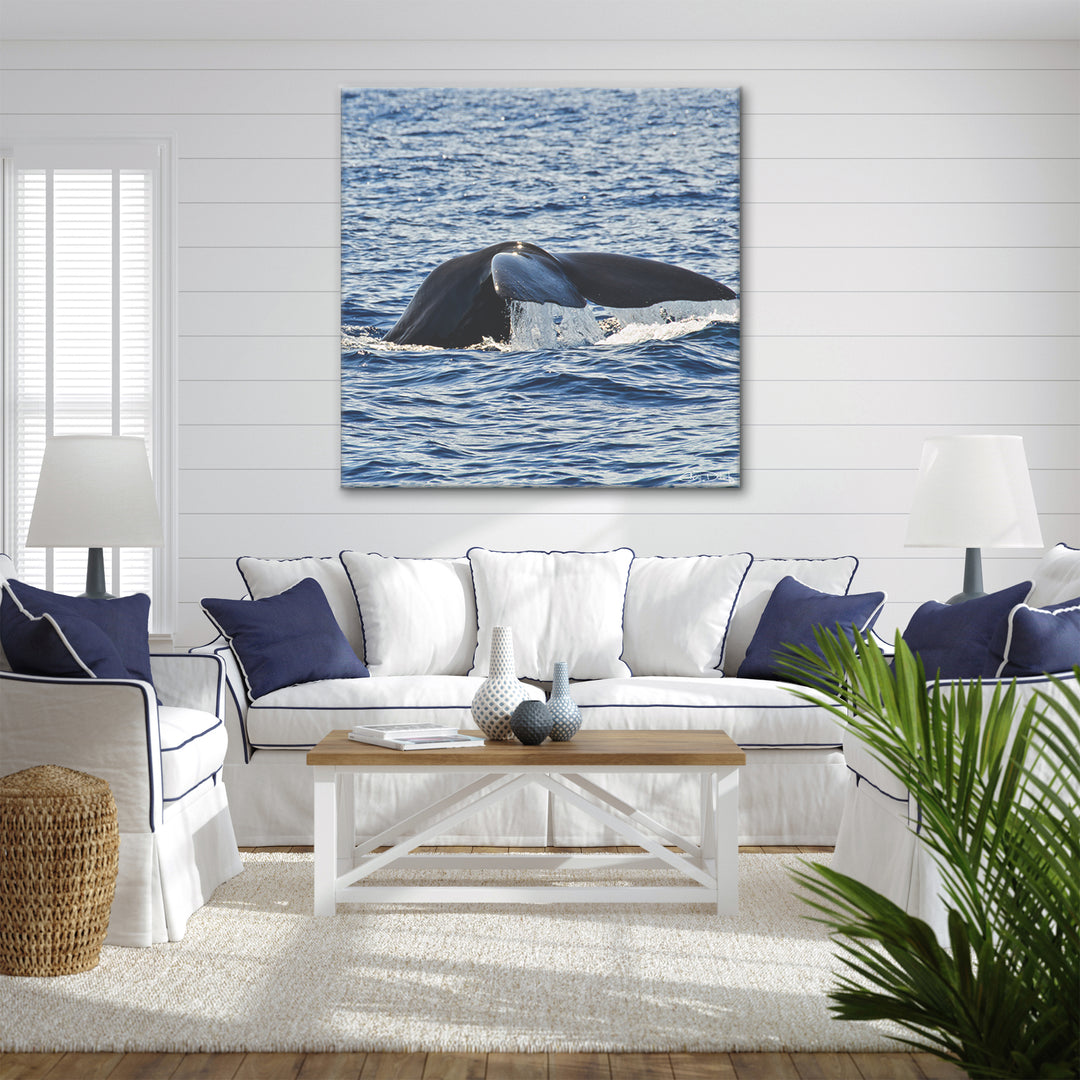 'Whale' Wrapped Canvas Wall Art