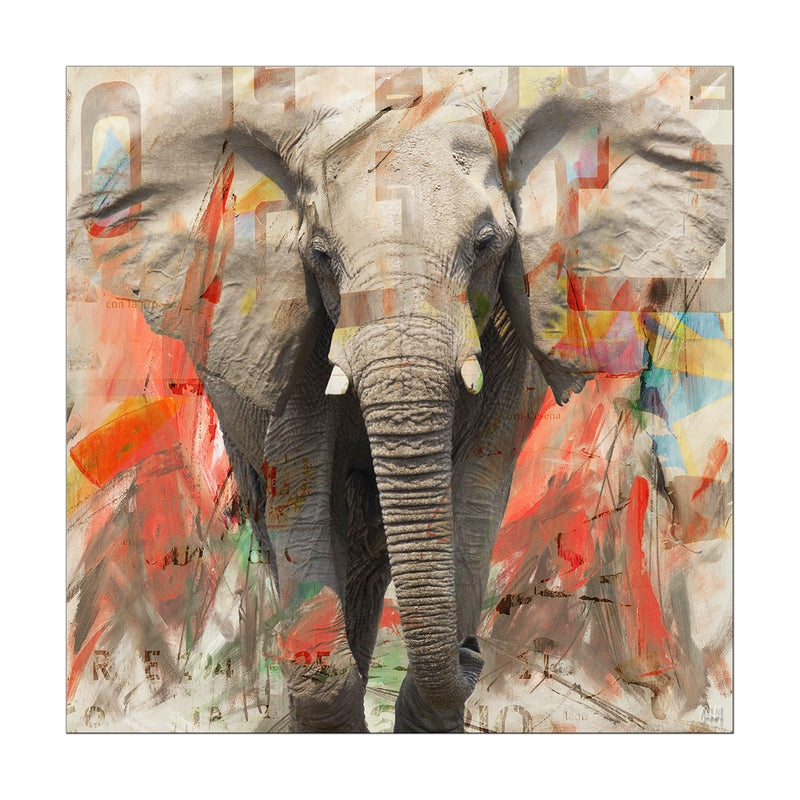 Saddle Ink Elephant I' Canvas Wall Art
