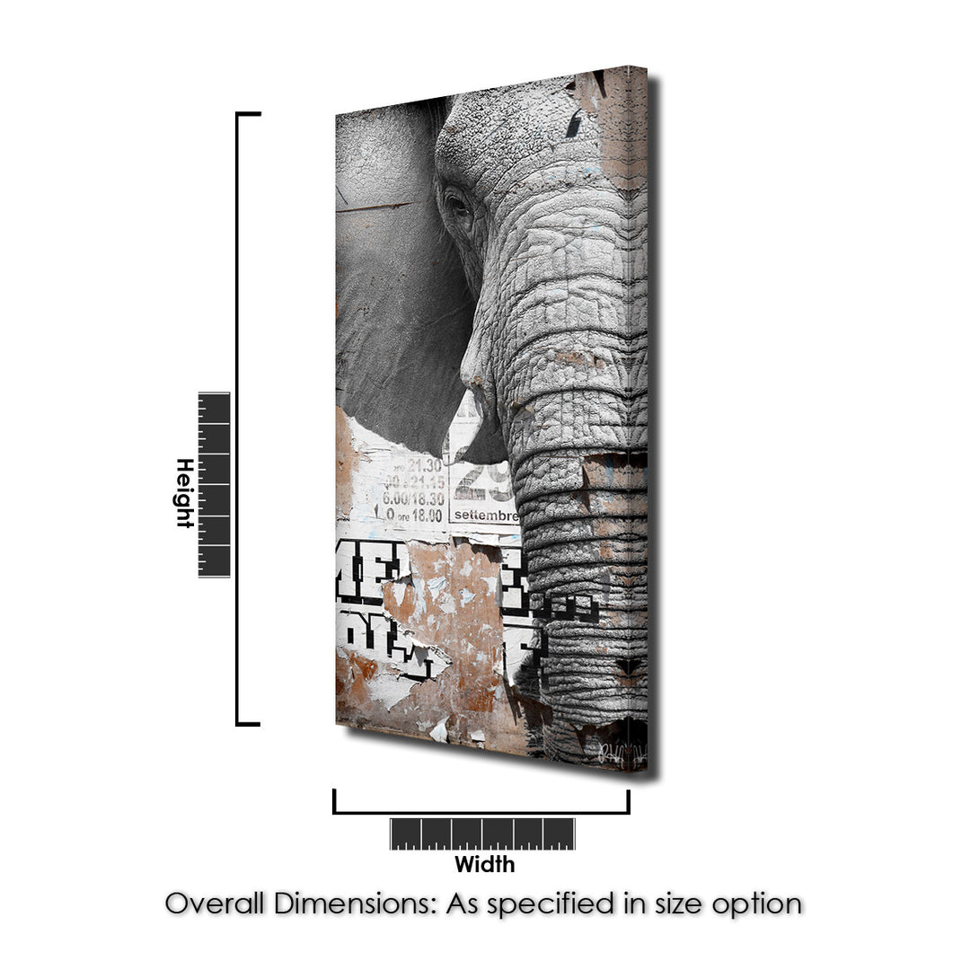 Saddle Ink Elephant VIII' Canvas Wall Art