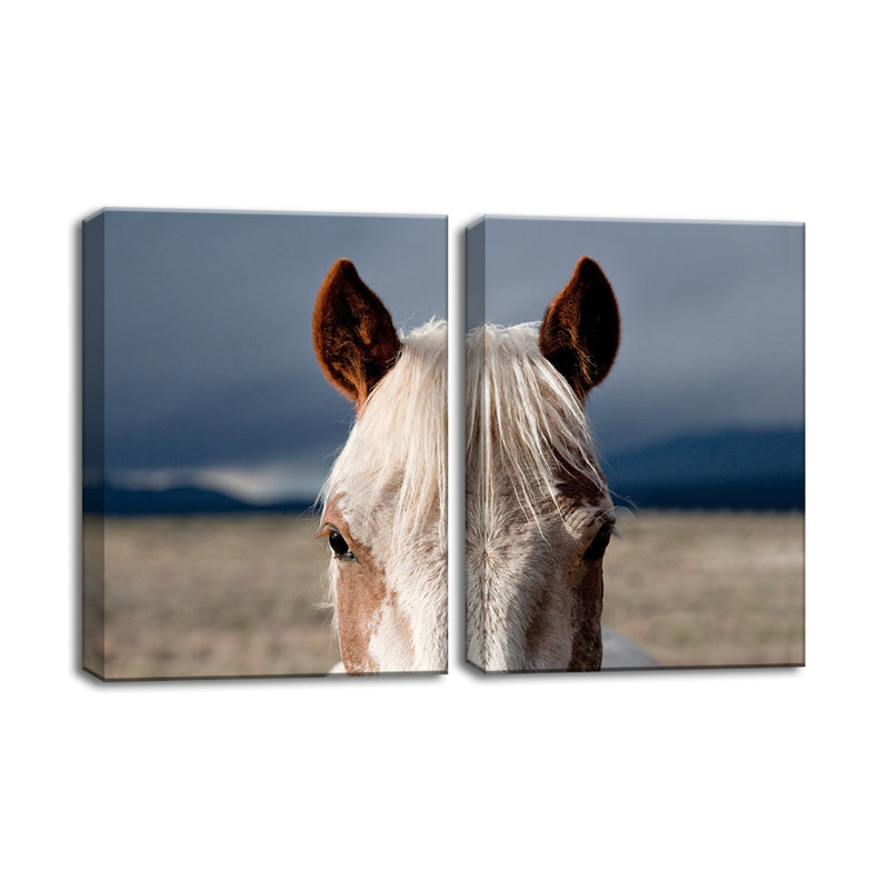 Horse 9006' Wrapped Canvas Wall Art Set