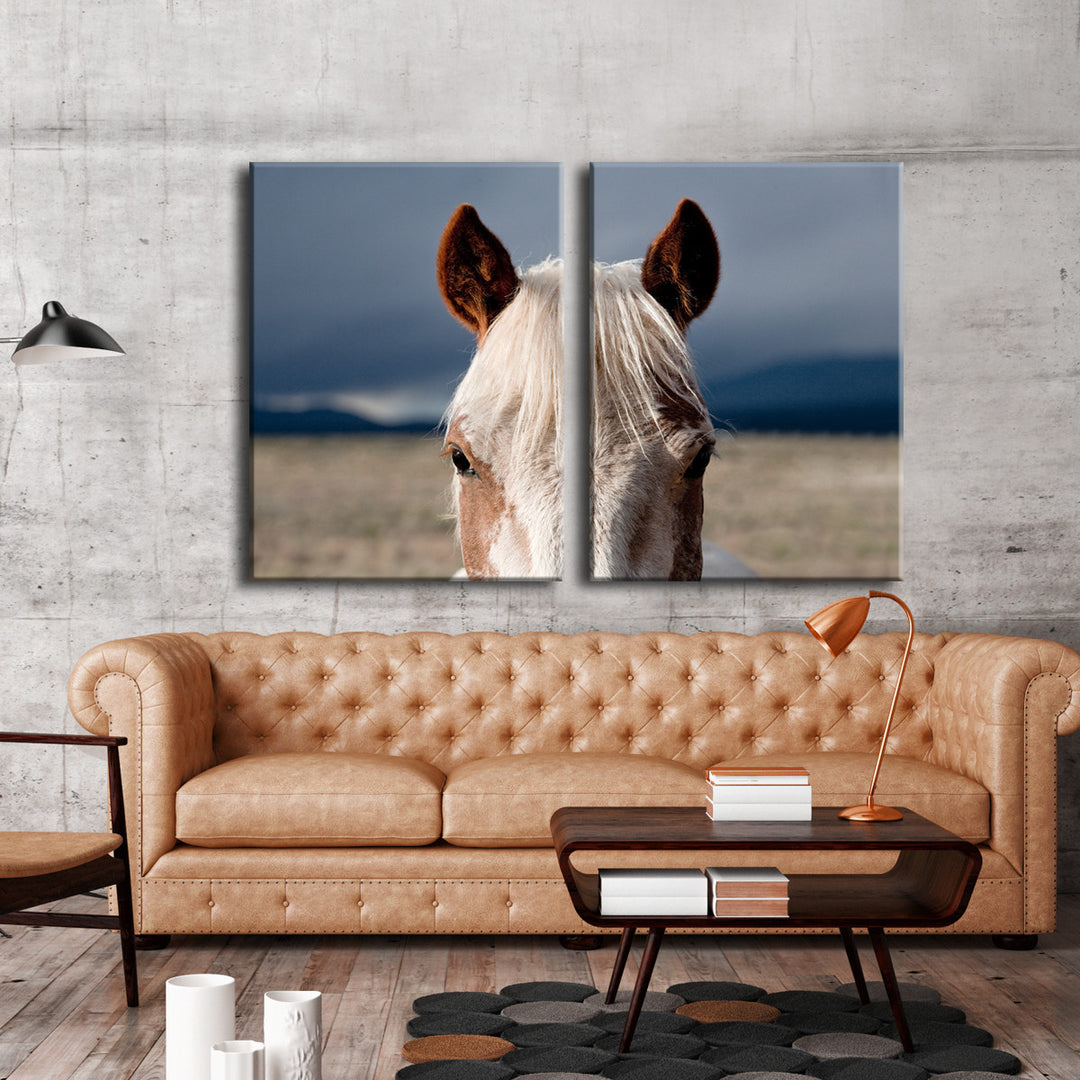 Horse 9006' Wrapped Canvas Wall Art Set