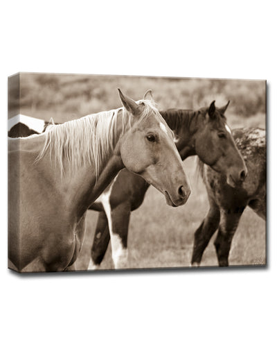 Horses' Wrapped Canvas Wall Art