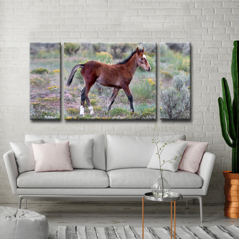 Mustang Foal' Wrapped Canvas Wall Art Set